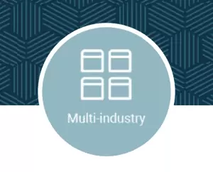 Multi-industry