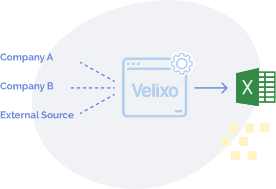 Velixo Reports
