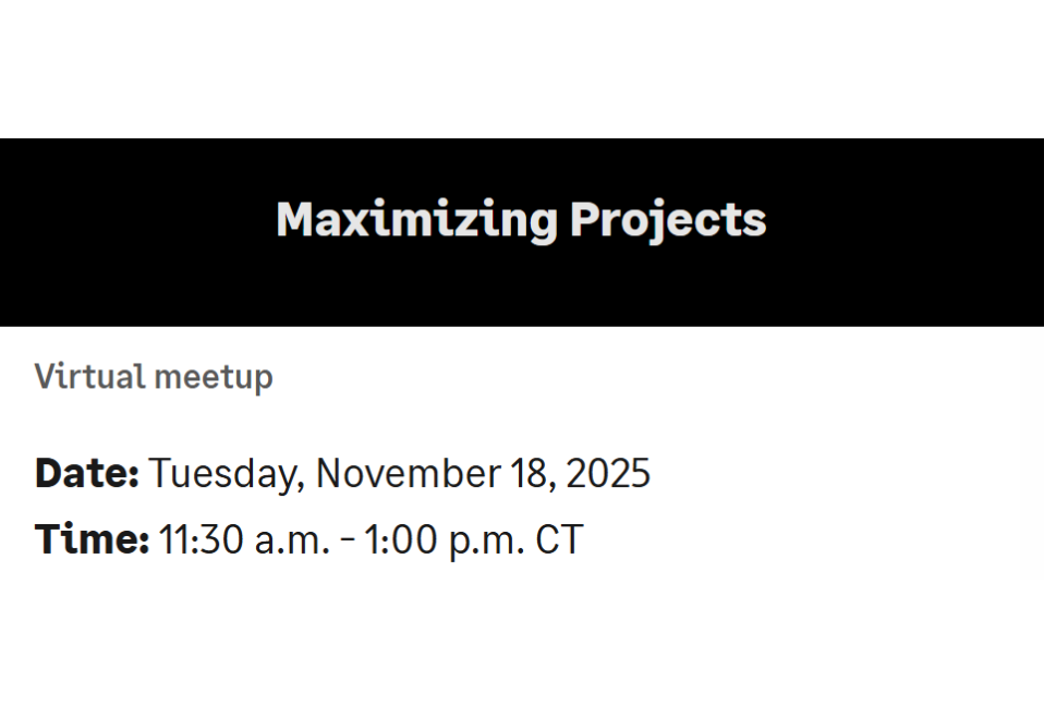 Maximizing Projects